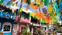 Private Tour to Bucerías, San Pancho and Sayulita from Puerto Vallarta