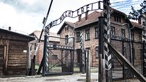 Auschwitz and Wieliczka Salt Mine One Day Tour from Krakow