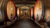 Langhe (Piedmont): Wine Tasting Experience 
