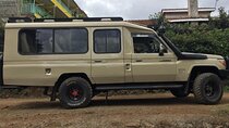 10-Day Private Tour in Big Five Safari and Beaches