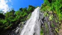 Private Tour to Materuni Waterfalls, coffee tour, Kikuletwa Hot Springs & Maasai