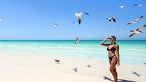 The magical Island of Holbox and Punta Mosquito 