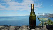 CAMOGLI: PRIVATE Ligurian Wine Tasting Experience and walking on National Park