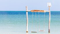 Holbox Magic Island! Punta Cocos + Punta Mosquito From Cancun