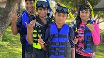 Group Snorkel Excursions in Lahaina, Maui