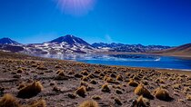 Small-Group Tour Altiplanic Lagoons Red Stones & Flamingo Reserve