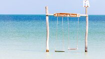 Holbox Adventure Round Transportation! Punta Cocos From Cancun 