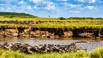8 Days Private Safari in Serengeti Tour
