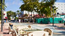 Best of Miami Small Group Tour With Everglades Airboat Ride 