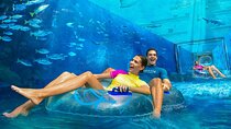 Lost Chamber Aquarium Tickets