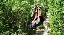 Activities Atv (single) Zipline and Cenote From Playa del Carmen