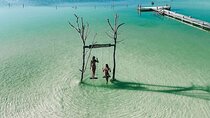 Nature Day! 3 Cenotes, 1 Lagoon from Cancun & Playa Del Carmen