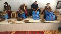 Private Ourika valley and Atlas Mountains day trip from Marrakech