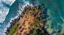 Highlights of Sri Lanka 8 Days Private Tour