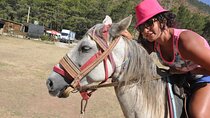 Fethiye Horse Riding Experience