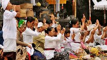 Full Day Besakih Temple Volkswagen Safari