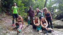 Sinharaja Rain Forest Bird Watching Guided Private Tour