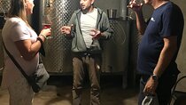 Natural Wine Tour to Kartli region, lunch & wine tasting at Andro Barnovi