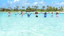 Wild on Caribbean Sea Super Combo 