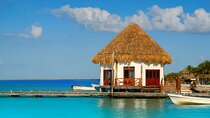 Holbox and Passion Island Full-Day Tour with Cenote, Transportation and Lunch