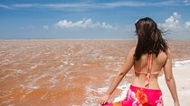 Paradisiacal tour: Las Coloradas Pink Lake and Rio Lagartos with Lunch included.