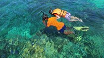 Travel ABOARD A JEEP and visit the most iconic places of Cozumel!