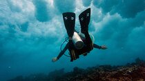 Scuba Diving (1st time) in Cancun Beginner's WELCOMED!