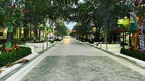Party Bike Tour on Clematis Street, Downtown West Palm Beach