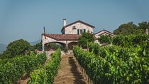 Wine tour- Family winery visit, food tasting & Skadar Lake boat cruise