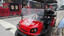 Wynwood Street Art Tour - Artist Lead -VIP Cart 