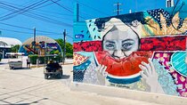 Holbox Punta Mosquito The Best Virgin Beaches from Cancun