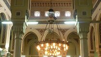 City Tour in Aswan City With Private Transfer and Live Guide - Aswan
