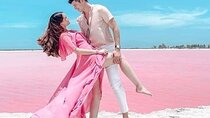 Las Coloradas Tour With Transportation from Playa del Carmen