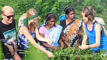 Private Galle Day Tour with Boat Safari & Tea Factory Visit - All Inclusive