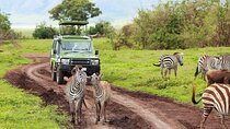 3 Day Classic, Guided Serengeti Safari