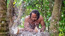 Traditional Sri Lankan Martial Art (Angampora) 