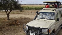 7 Days Private Jeep Safari Tour in 5 Star Lodges from Nairobi