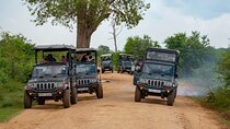 04 day Sri Lanka Beach, Wildlife Tour & Colombo city tour