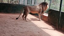  Accra Zoo, Canopy Walk and Botanical Gardens Private Tour