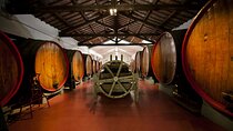 Modena area: Lambrusco Wine Tasting Experience