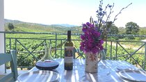 Winery Tour, Tasting and cooking with the Winemaker in Rhodes