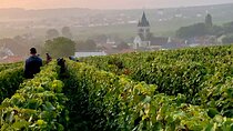 Moet et Chandon, Pressoria Small Group Champagne Trip from Paris