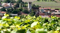 Taittinger Champagne Half Day Private trip from Paris