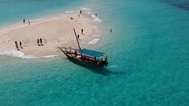 Safari Blue Zanzibar & Menai Bay Fascinating day Sea Trip With Lunch - Zanzibar