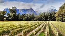 Private Icons of South Africa Wine Tour