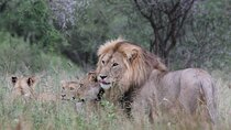 6 Days Tanzania Safari with Hiking Shared Tour