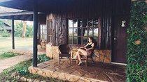 7 Days Kenya National Parks Jeep Tour in 5-Star Luxury Lodges