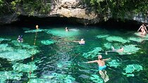 Private Snorkel Adventure! Akumal Reef + Cenote Swim