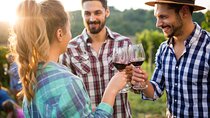 Taste + Tram the Winelands Tour: Franschhoek, Stellenbosch, Paarl