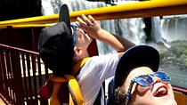 Iguaçu Waterfalls Brazilian Side + City Tour